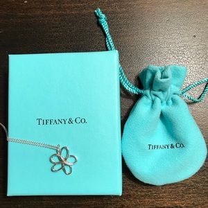 Tiffany & Co. Sterling Silver Necklace